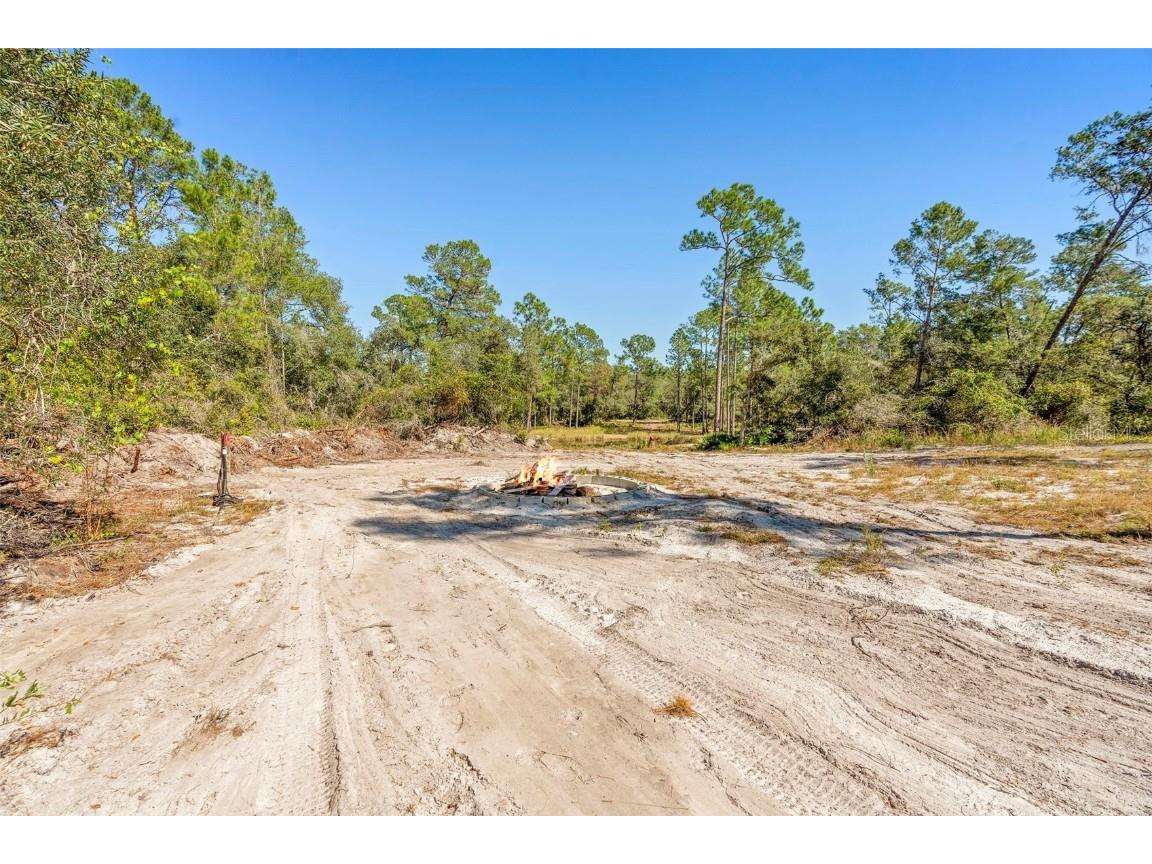 Deep Woods Road Paisley FL 32767 V4945611 image47