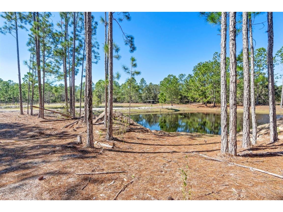 Deep Woods Road Paisley FL 32767 V4945611 image48