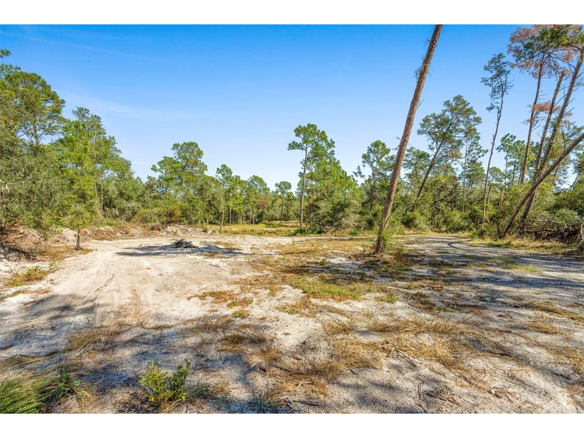 Deep Woods Road Paisley FL 32767 V4945611 image49