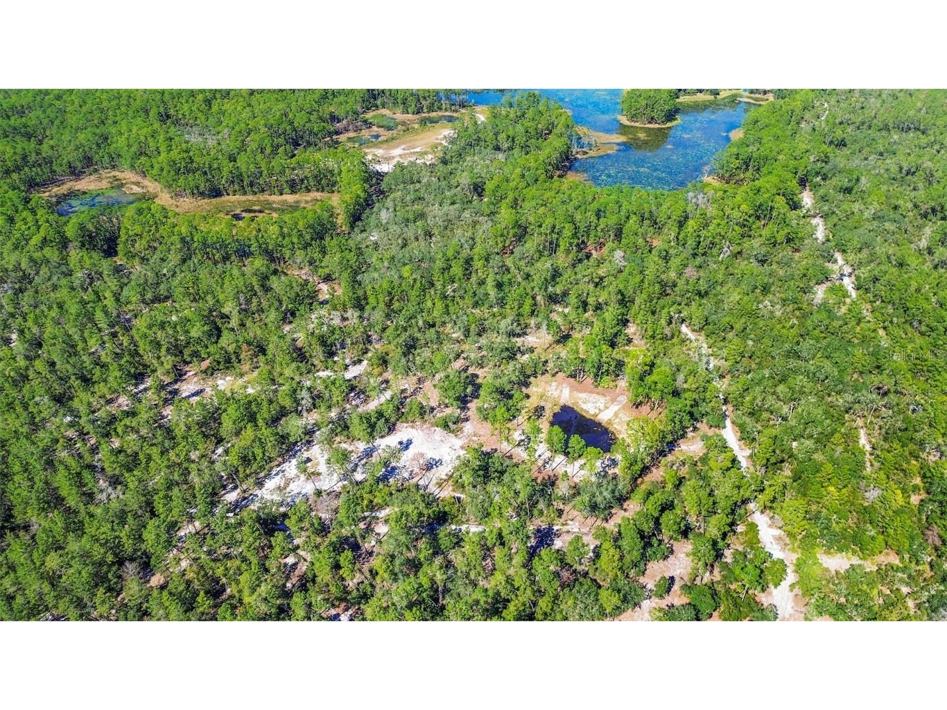 Deep Woods Road Paisley FL 32767 V4945611 image5