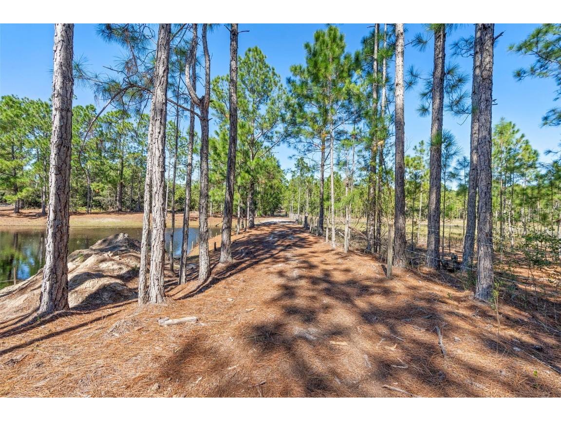 Deep Woods Road Paisley FL 32767 V4945611 image50