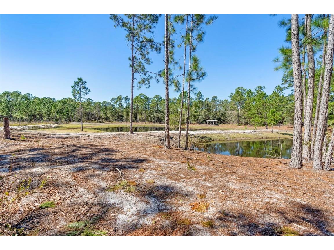 Deep Woods Road Paisley FL 32767 V4945611 image51