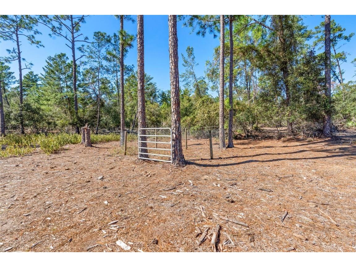 Deep Woods Road Paisley FL 32767 V4945611 image52