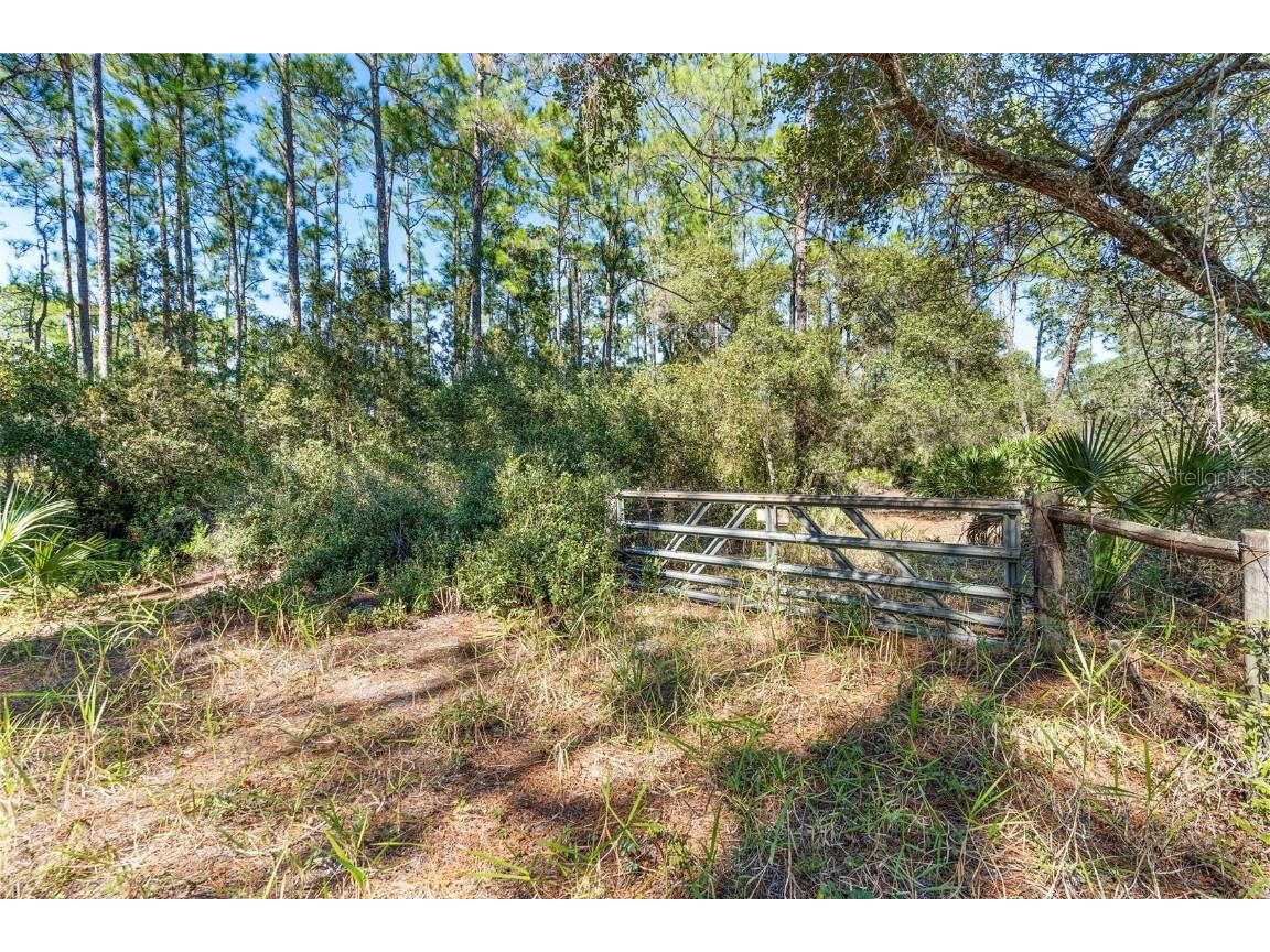 Deep Woods Road Paisley FL 32767 V4945611 image53