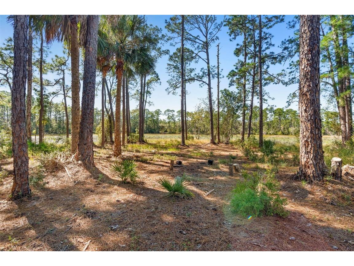 Deep Woods Road Paisley FL 32767 V4945611 image54