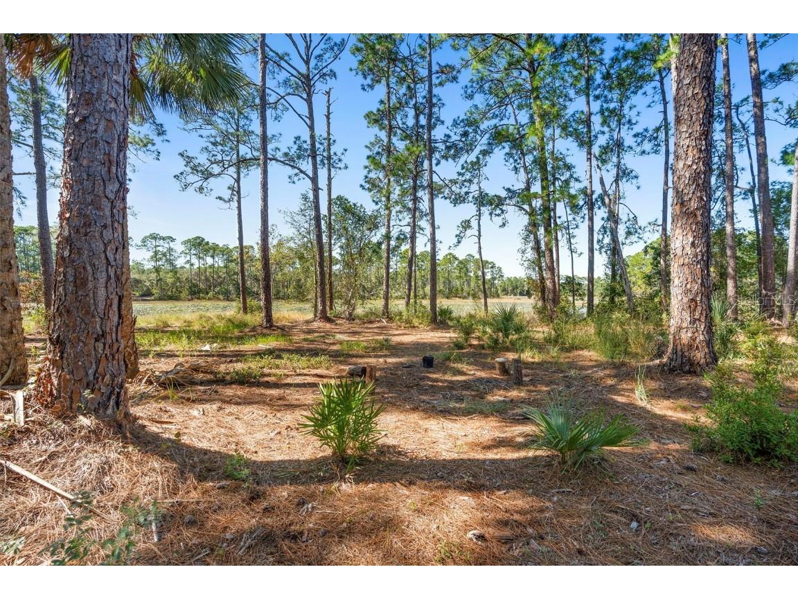 Deep Woods Road Paisley FL 32767 V4945611 image55