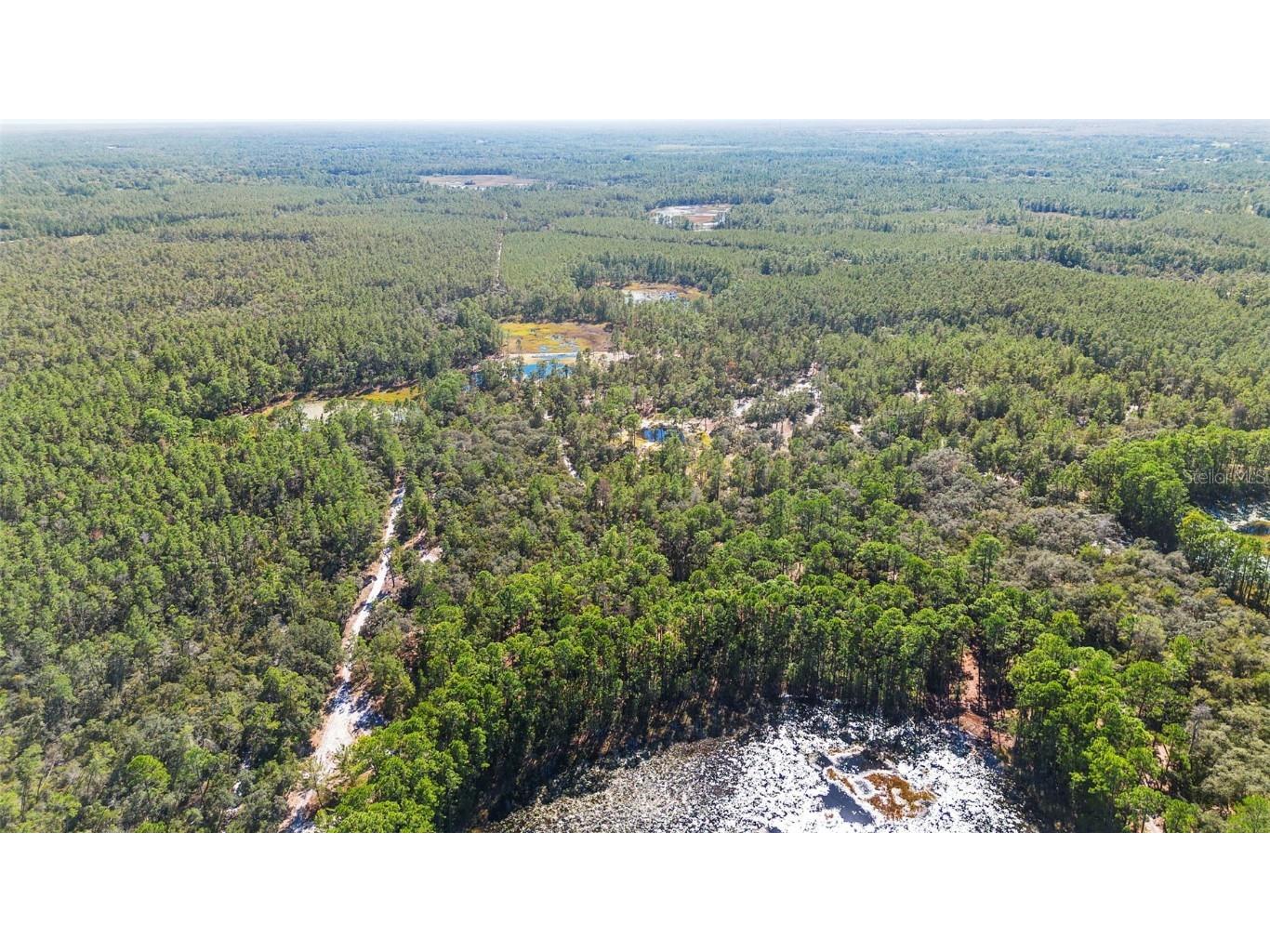 Deep Woods Road Paisley FL 32767 V4945611 image58