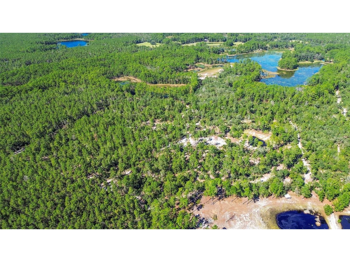 Deep Woods Road Paisley FL 32767 V4945611 image59