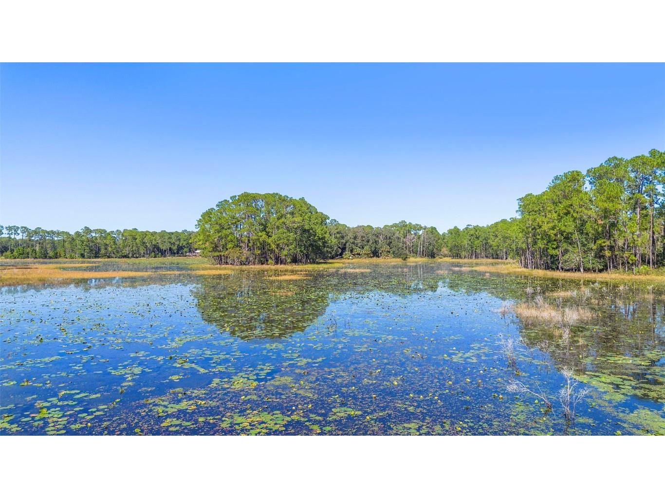 Deep Woods Road Paisley FL 32767 V4945611 image6