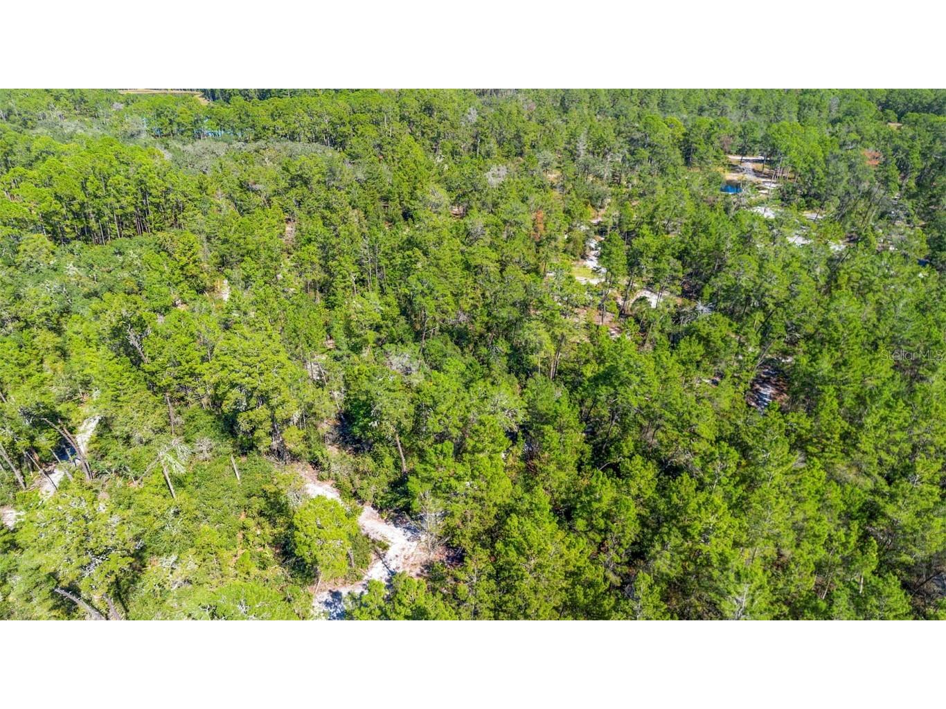 Deep Woods Road Paisley FL 32767 V4945611 image60