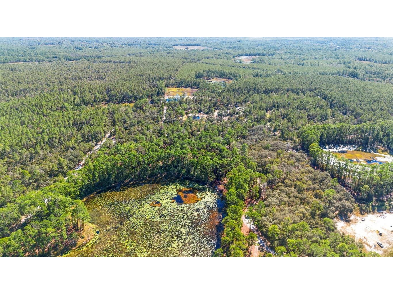 Deep Woods Road Paisley FL 32767 V4945611 image61