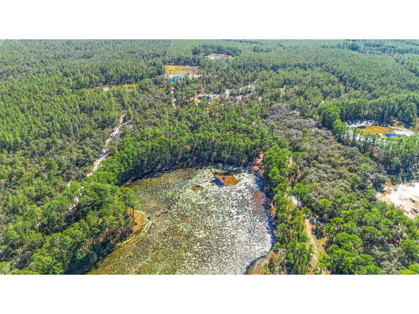 Deep Woods Road Paisley FL 32767 V4945611 image62