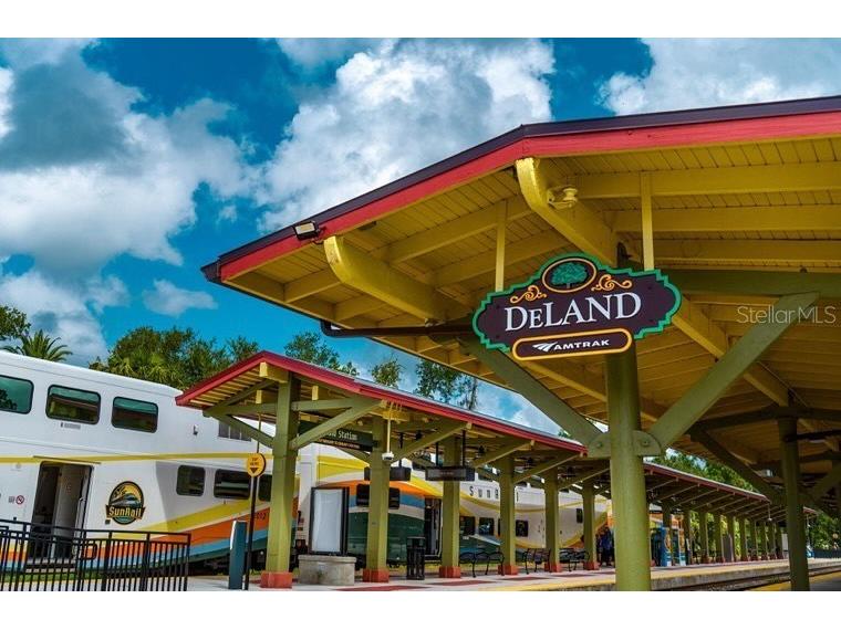 Deep Woods Road Paisley FL 32767 V4945611 image63