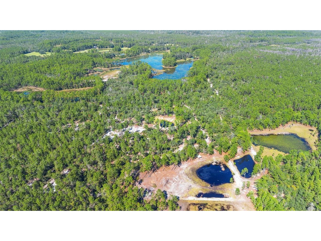 Deep Woods Road Paisley FL 32767 V4945611 image7