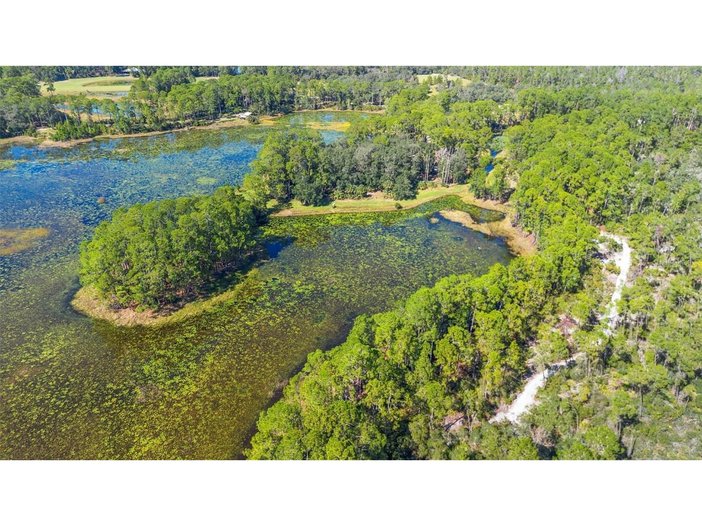 Deep Woods Road Paisley FL 32767 V4945611 image8