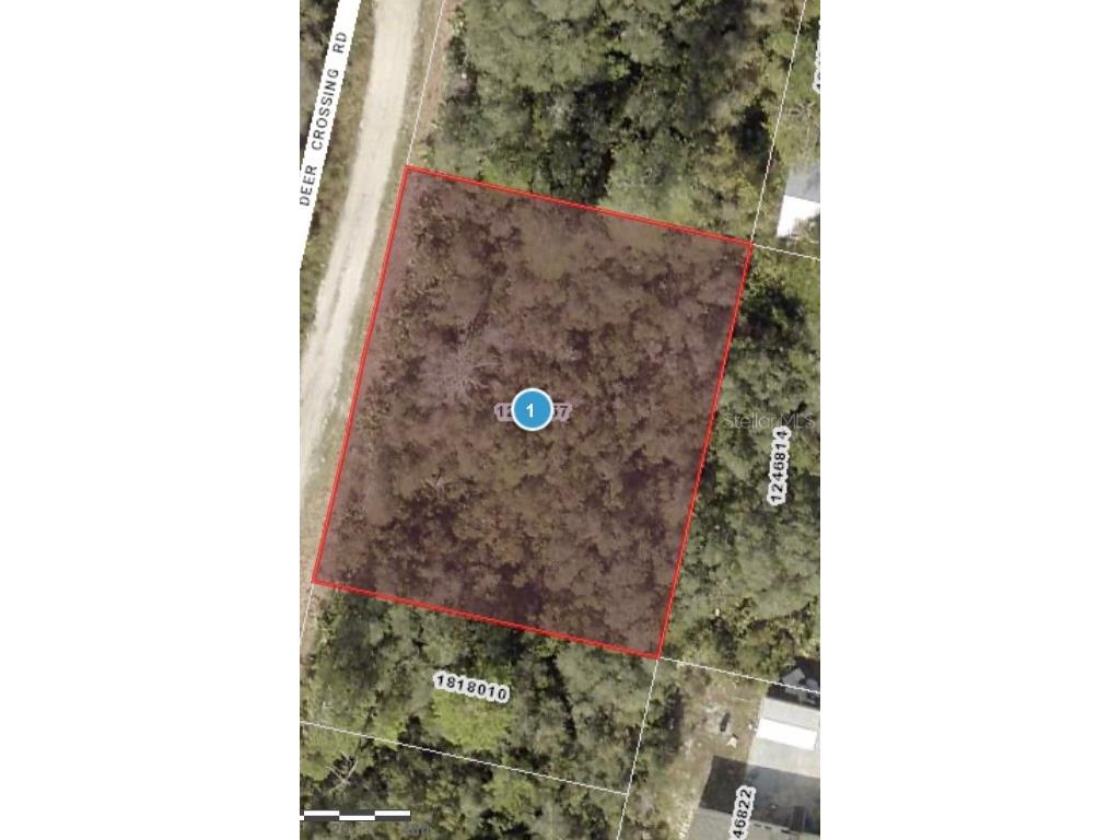 Deer Crossing Road Altoona FL 32702 G5092811 image11