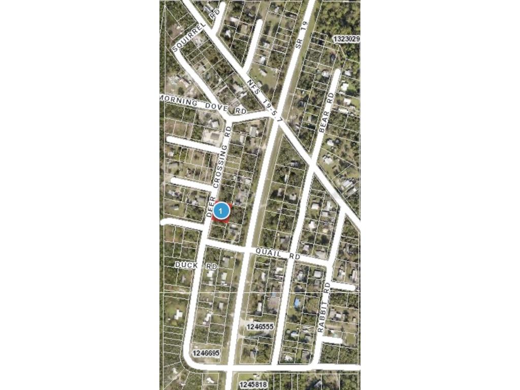 Deer Crossing Road Altoona FL 32702 G5092811 image12