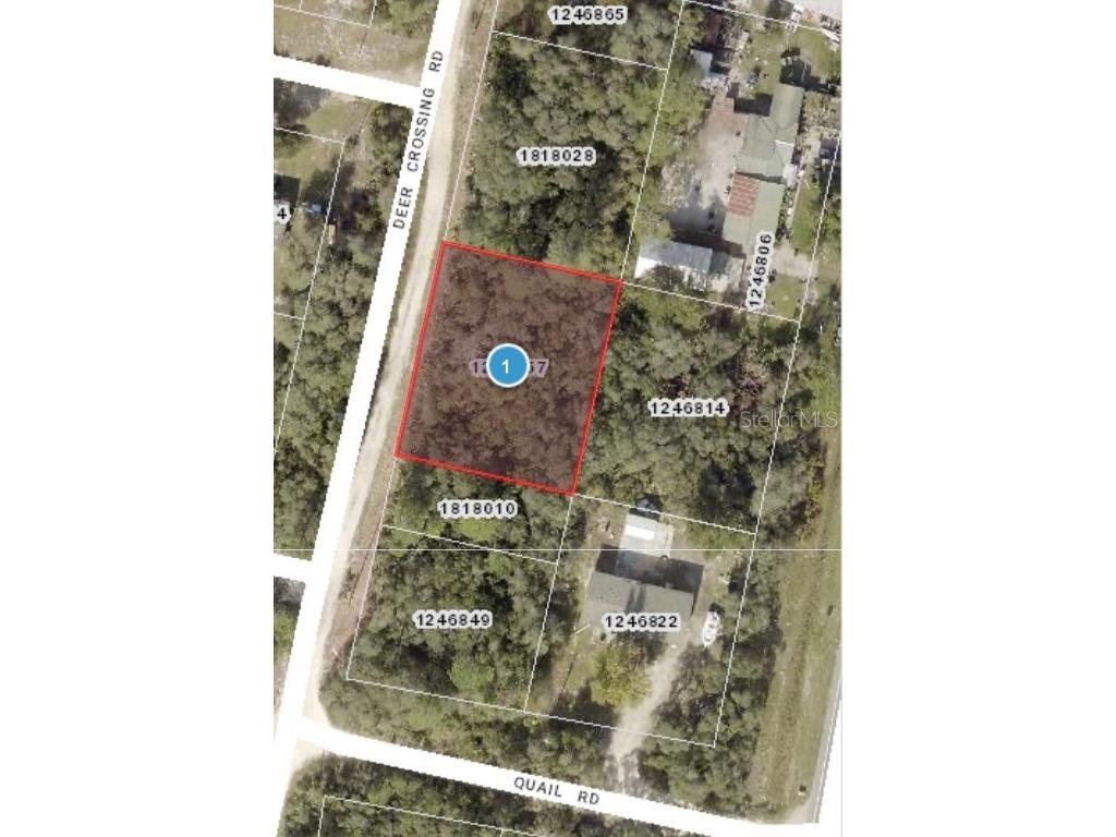 Deer Crossing Road Altoona FL 32702 G5092811 image13