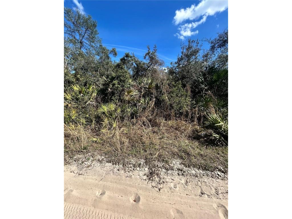 Deer Crossing Road Altoona FL 32702 G5092811 image2