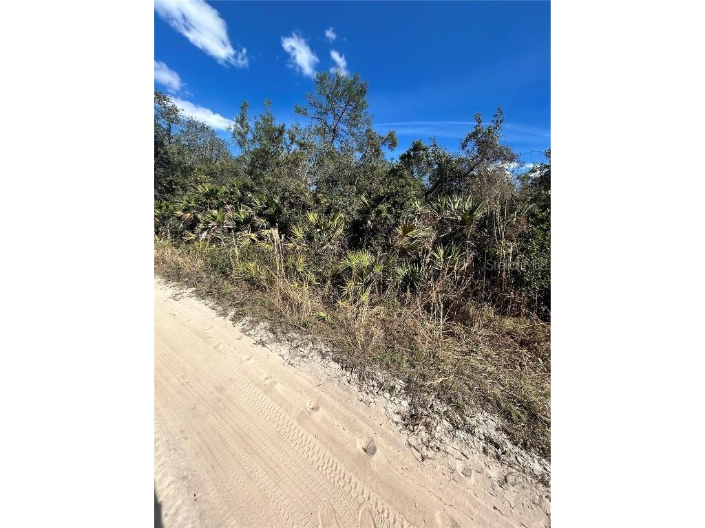 Deer Crossing Road Altoona FL 32702 G5092811 image3