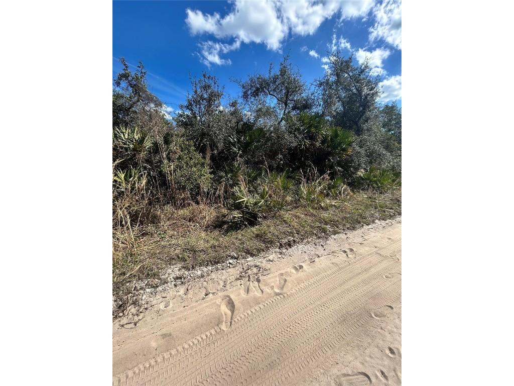 Deer Crossing Road Altoona FL 32702 G5092811 image4