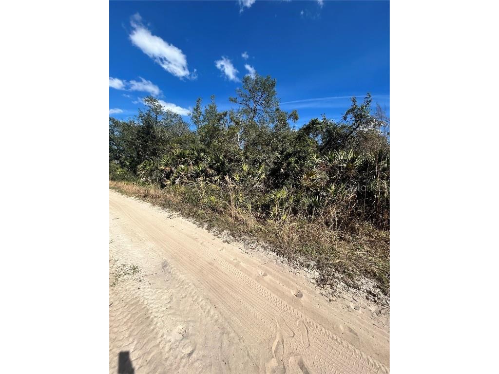 Deer Crossing Road Altoona FL 32702 G5092811 image5