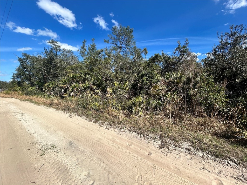 Deer Crossing Road Altoona FL 32702 G5092811 image6