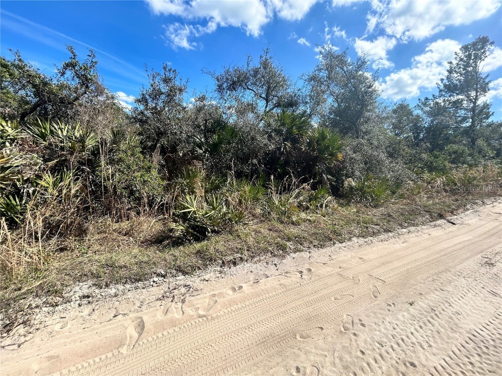 Deer Crossing Road Altoona FL 32702 G5092811 image8