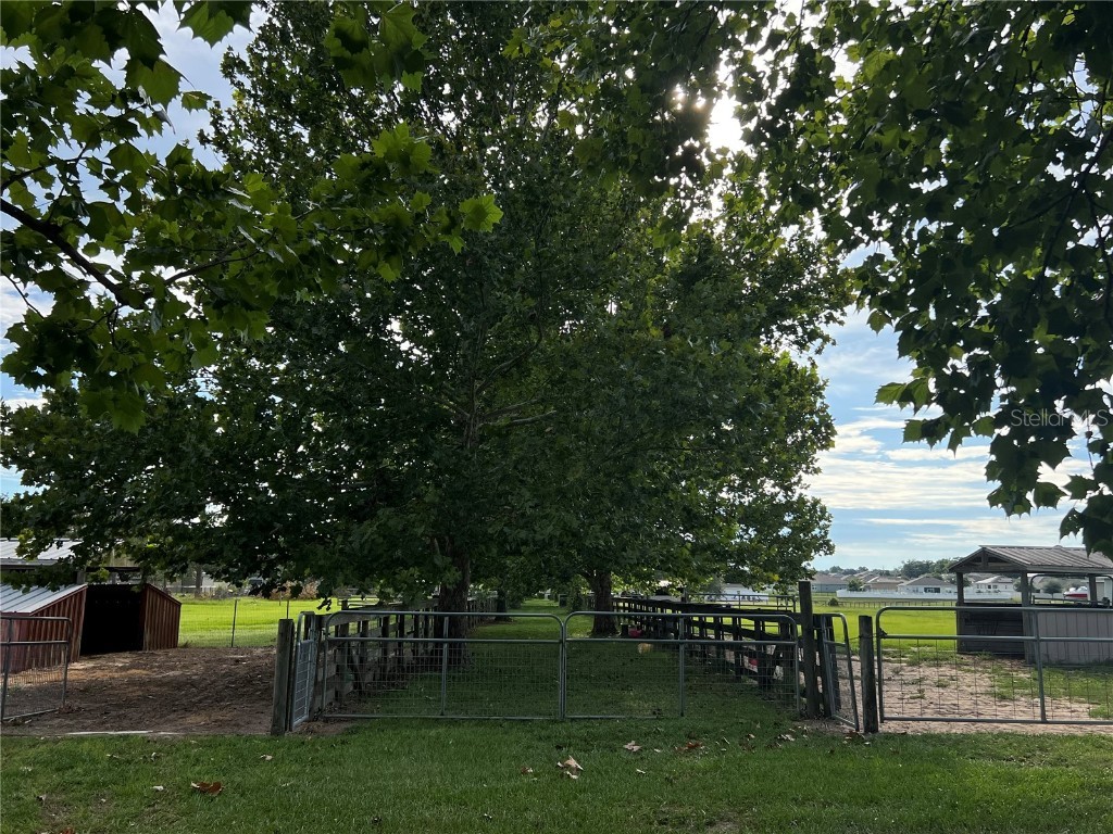 Deer Meadow Lane Grand Island FL 32735 G5099912 image12