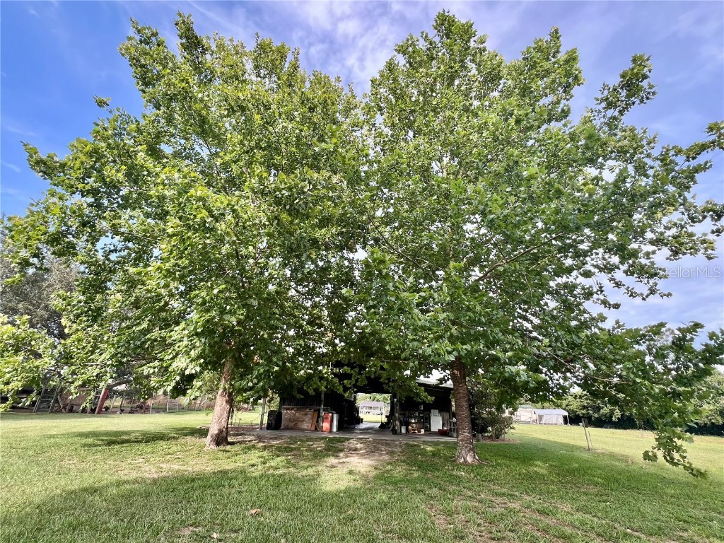 Deer Meadow Lane Grand Island FL 32735 G5099912 image25