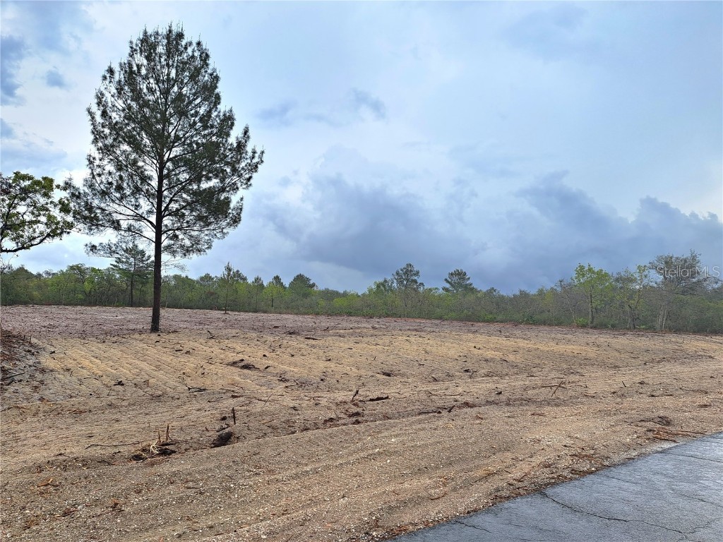 Deer Road Frostproof FL 33843 - LAKE REEDY K4902070 image1