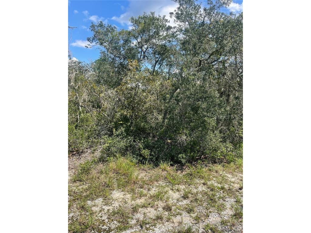 Deer Road Frostproof FL 33843 K4902250 image1