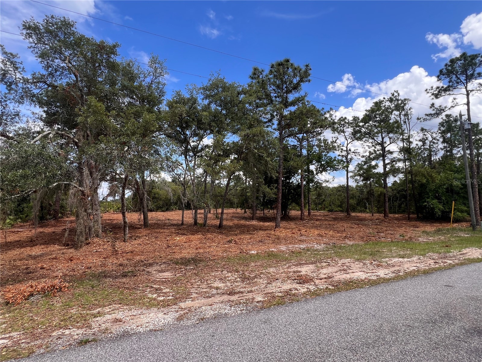 Deer Road Frostproof FL 33843 - LAKE REEDY K4903486 image1