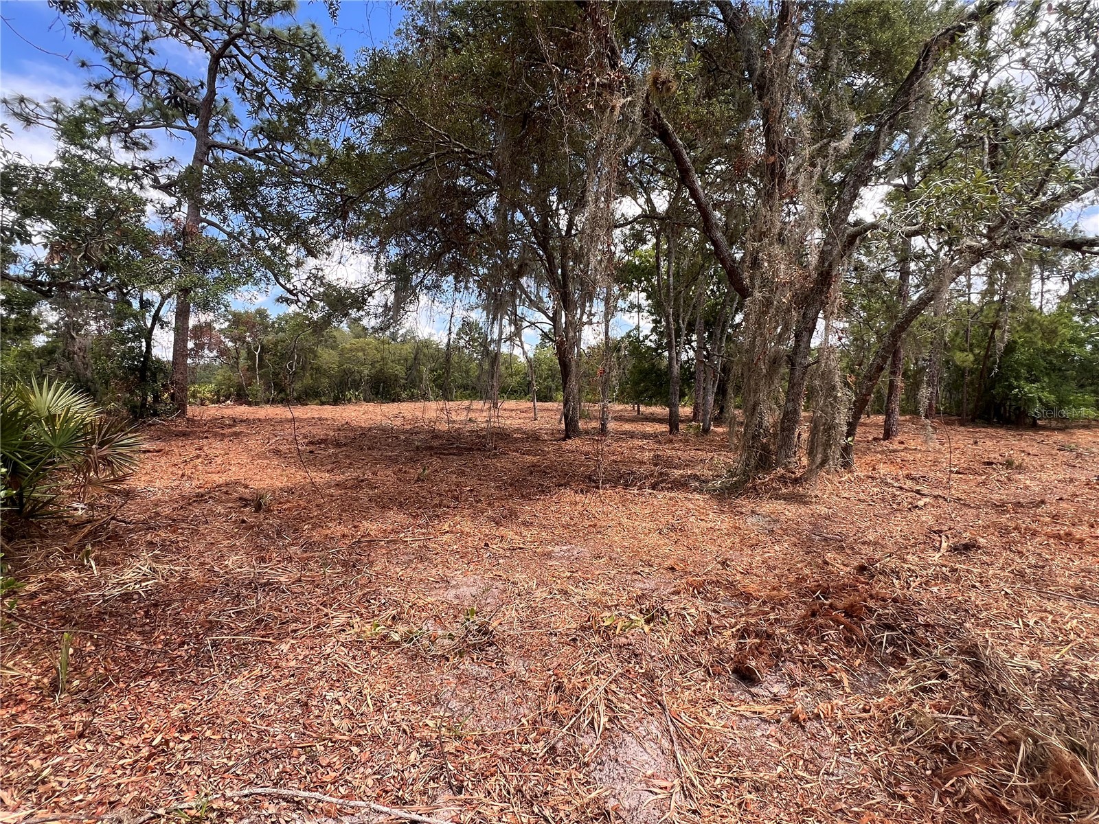 Deer Road Frostproof FL 33843 - LAKE REEDY K4903486 image2