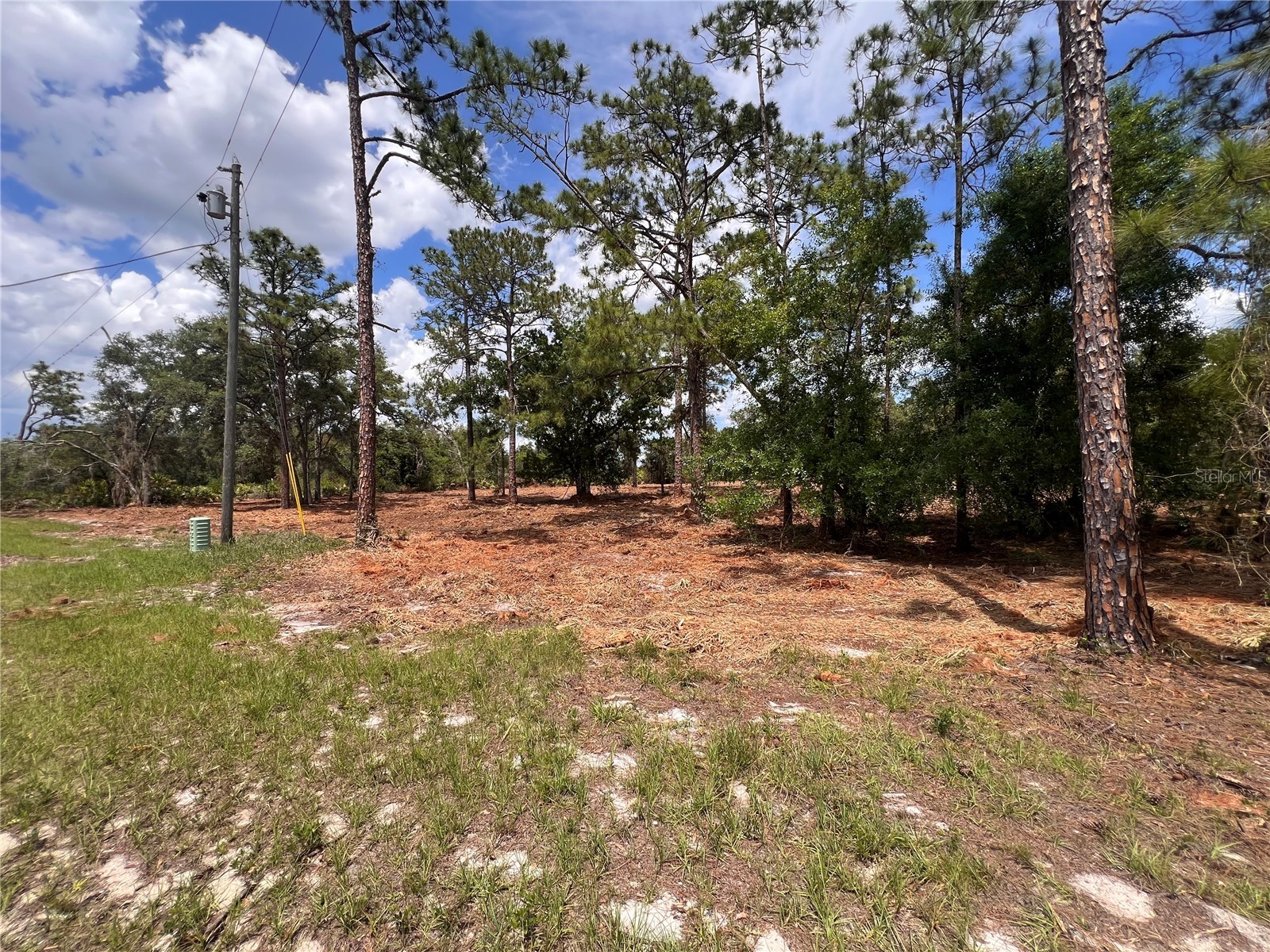 Deer Road Frostproof FL 33843 - LAKE REEDY K4903486 image3