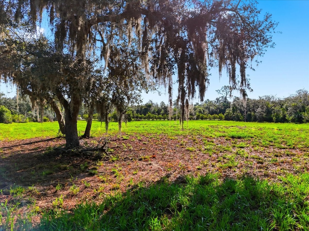 Deer Road Frostproof FL 33843 - REEDY L4963117 image10