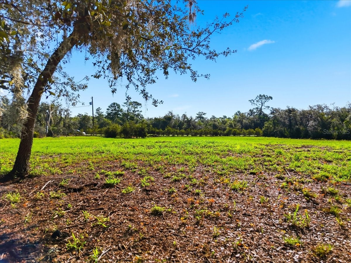 Deer Road Frostproof FL 33843 - REEDY L4963117 image11