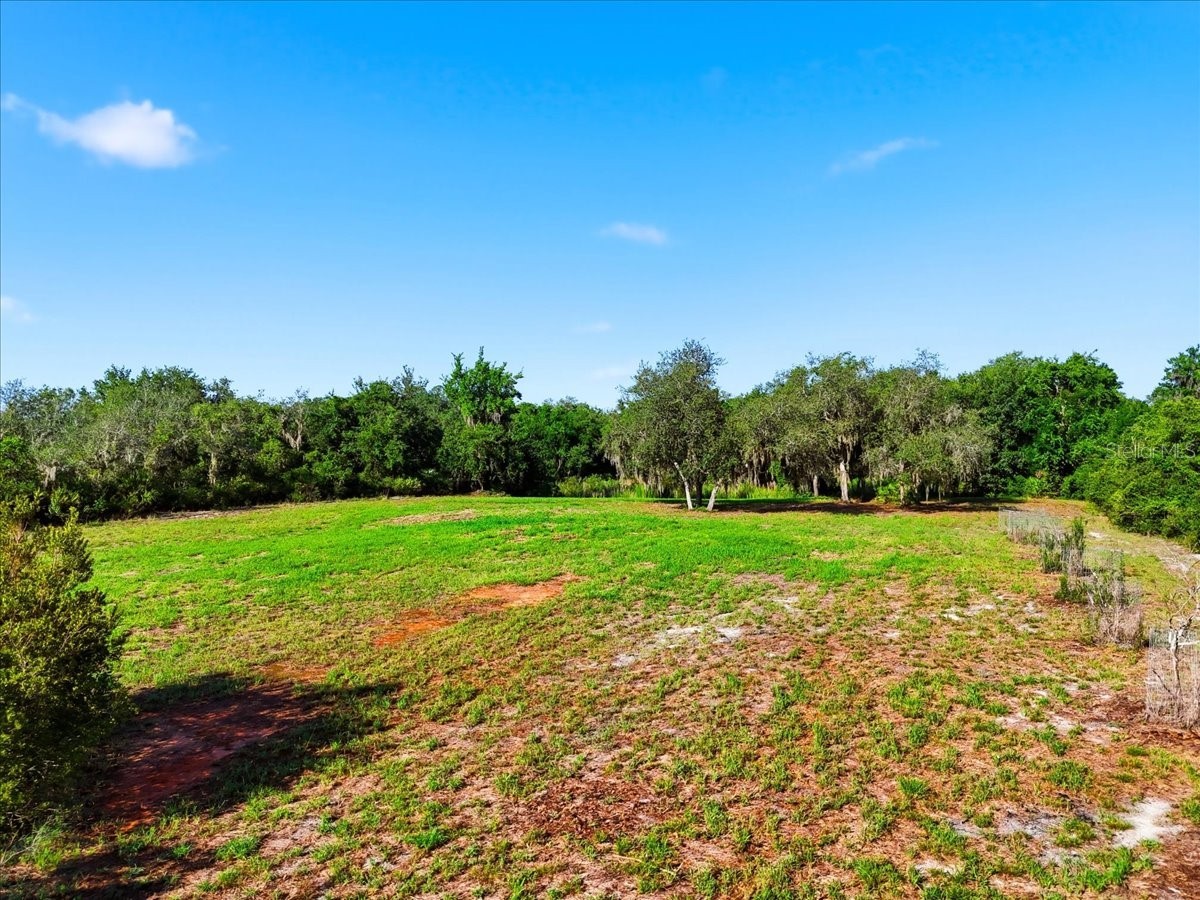 Deer Road Frostproof FL 33843 - REEDY L4963117 image13