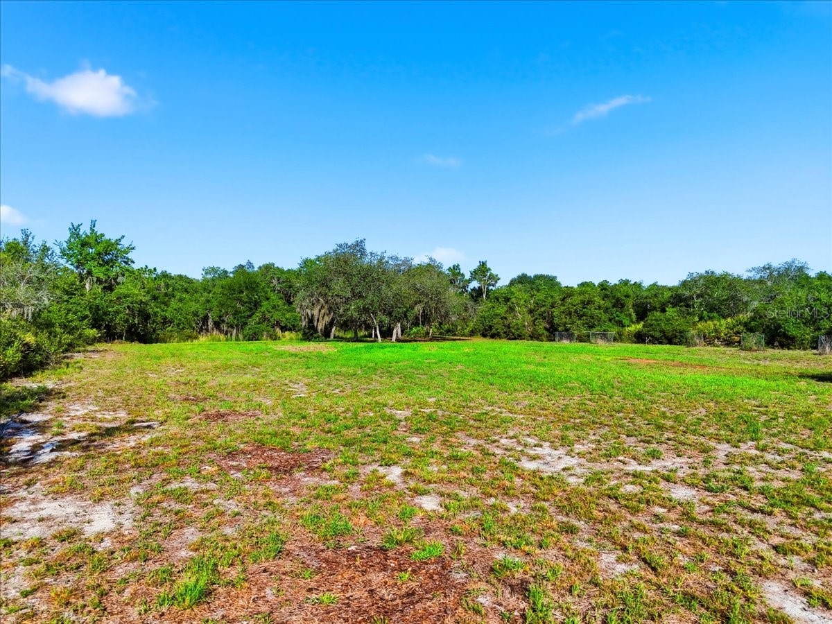 Deer Road Frostproof FL 33843 - REEDY L4963117 image14