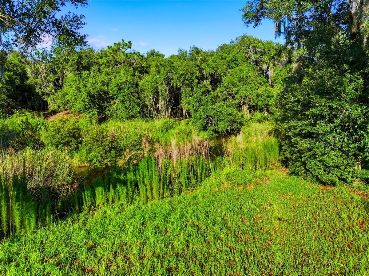 Deer Road Frostproof FL 33843 - REEDY L4963117 image4