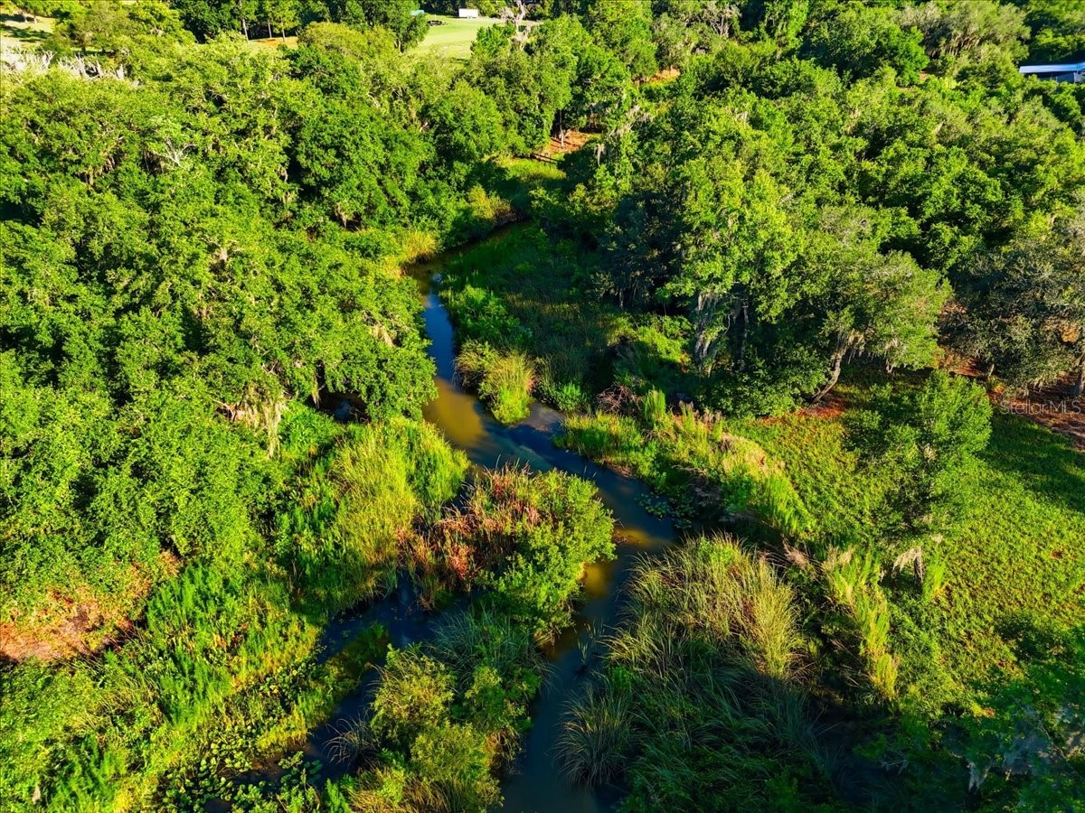 Deer Road Frostproof FL 33843 - REEDY L4963117 image8