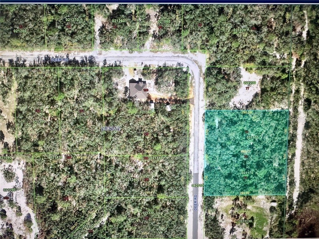 Deer Road Frostproof FL 33843 - LAKE REEDY P4935539 image1