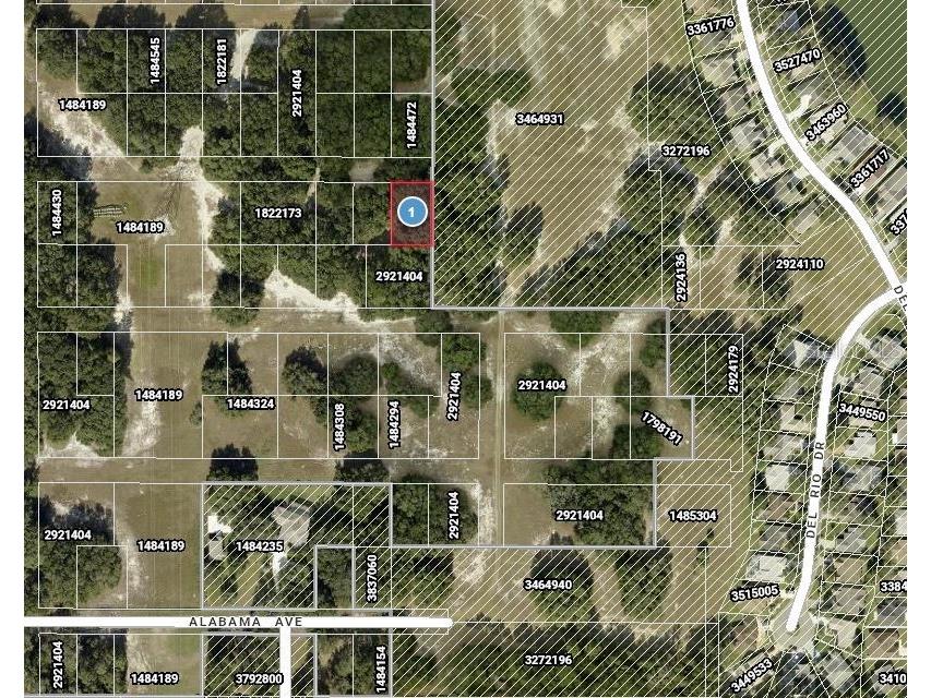 Del Mar Drive Lady Lake FL 32159 TB8447158 image3