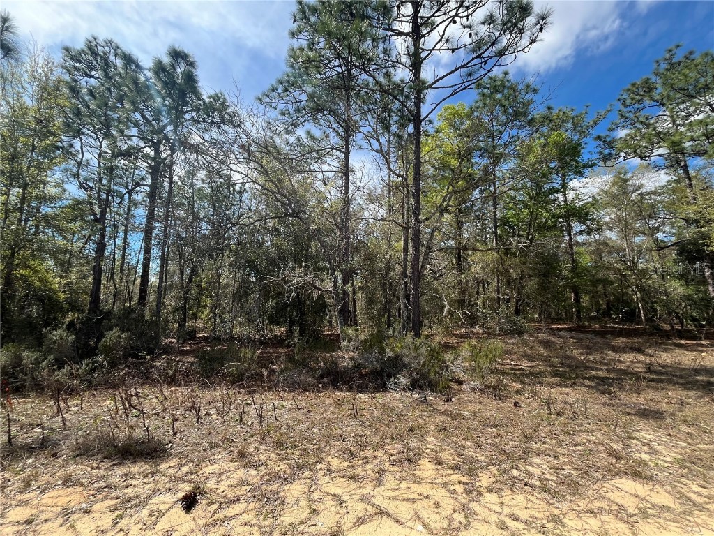 Deland Avenue Interlachen FL 32148 OK223801 image1