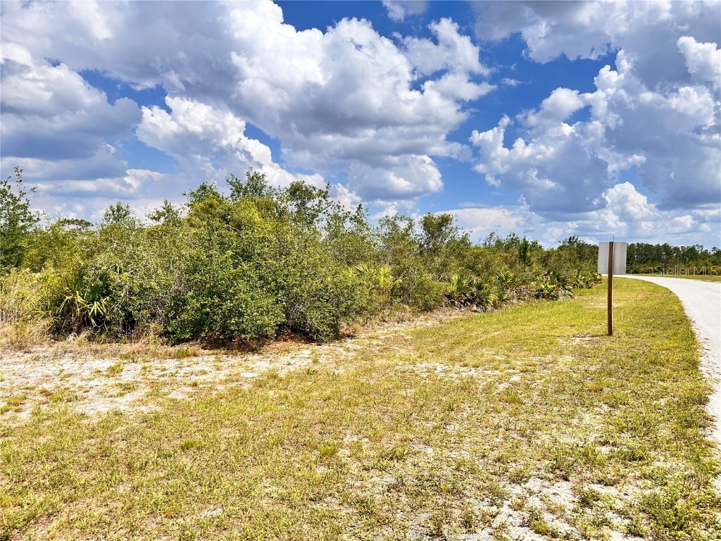 Deland Avenue Indian Lake Estates FL 33855 O6310588 image25