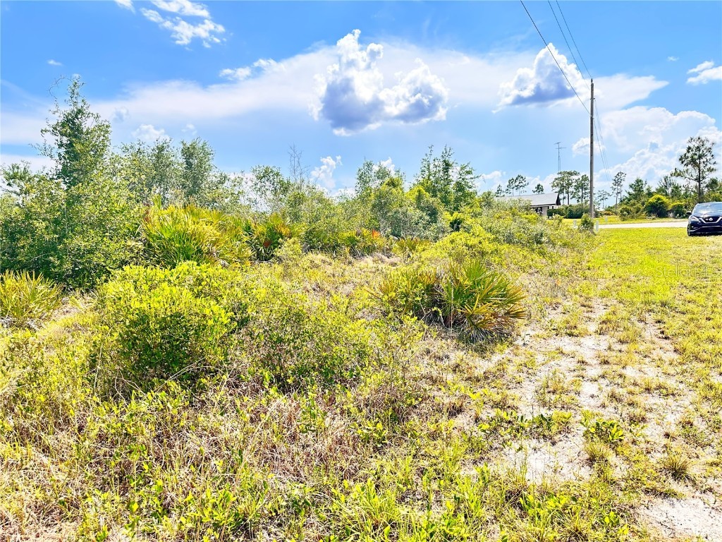 Deland Avenue Indian Lake Estates FL 33855 O6310588 image27