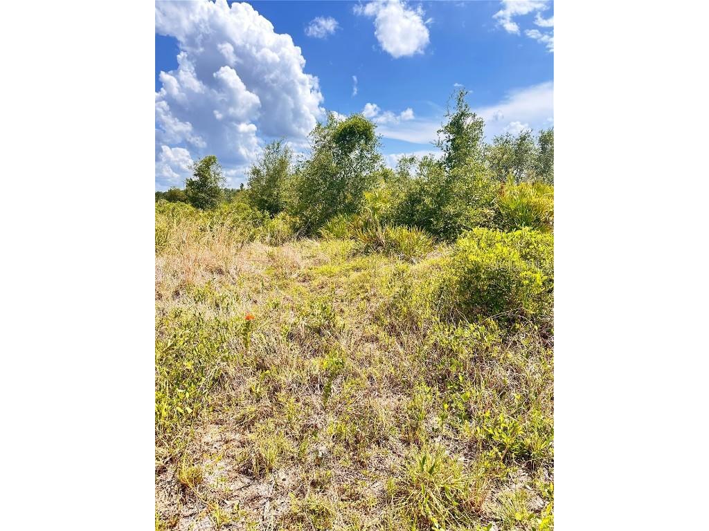 Deland Avenue Indian Lake Estates FL 33855 O6310588 image28