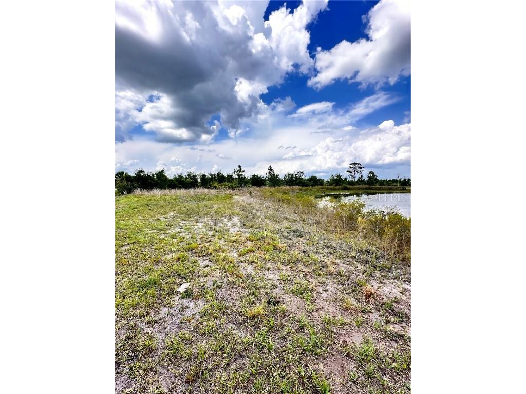 Deland Avenue Indian Lake Estates FL 33855 O6310588 image4