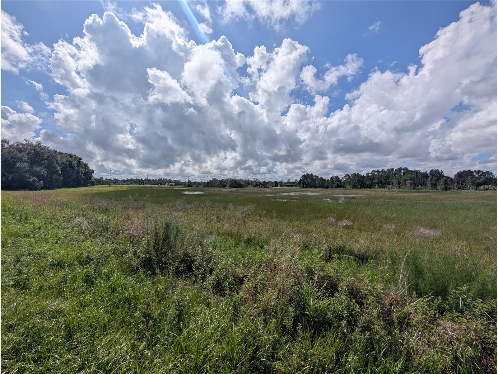 Deland Avenue Indian Lake Estates FL 33855 - LAKE WALK-IN-WATER & POND P4939202 image17