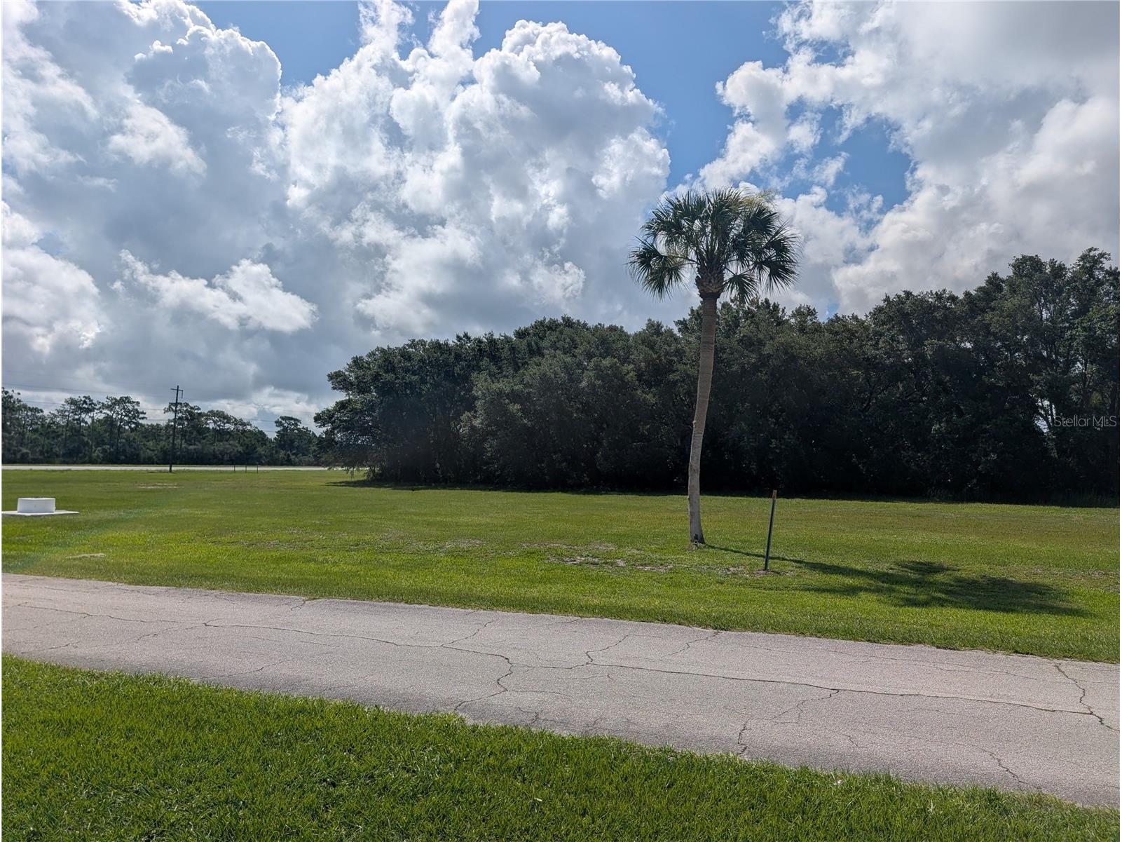 Deland Avenue Indian Lake Estates FL 33855 - LAKE WALK-IN-WATER & POND P4939202 image21